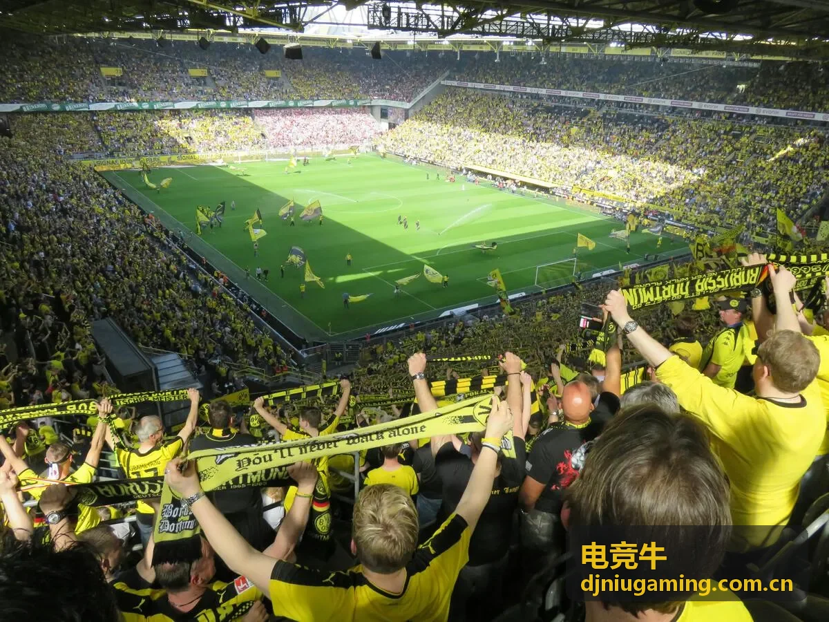 电竞牛攻略打野路线最优解